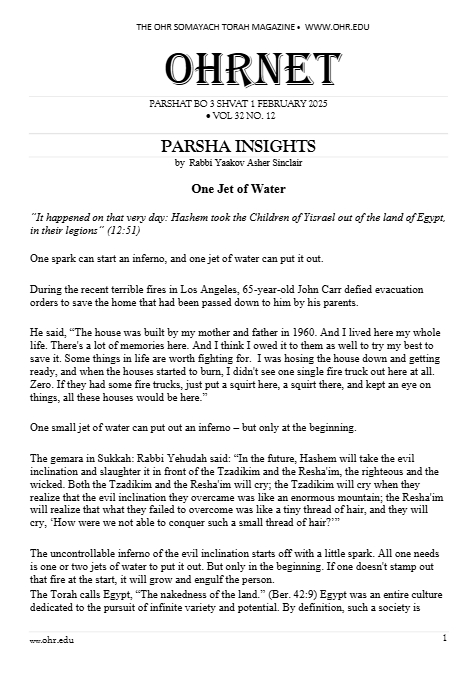 PDF Preview