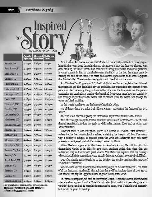 Inspired by a Story — Parshas Bo