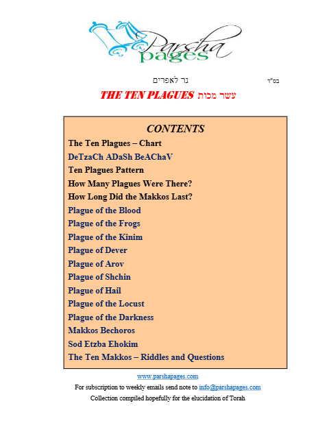 PDF Preview