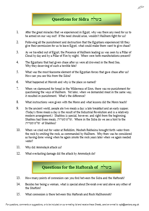 PDF Preview