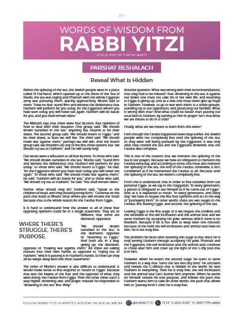 Words of Wisdom from Rabbi Yitzi — Parshas Beshalach