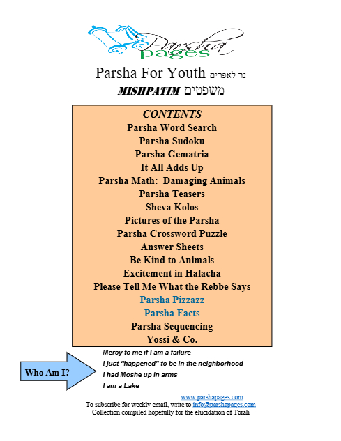 PDF Preview