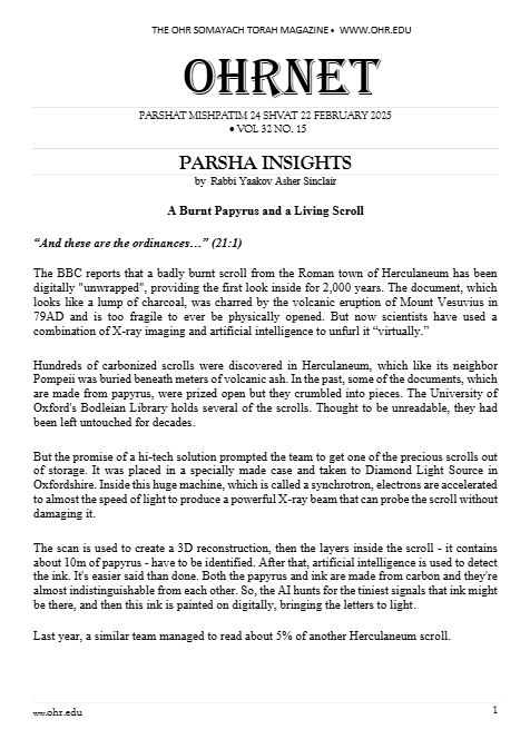 PDF Preview