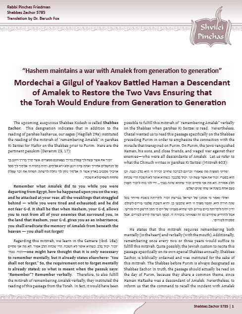 PDF Preview