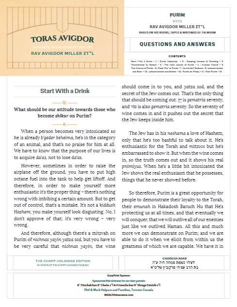 PDF Preview