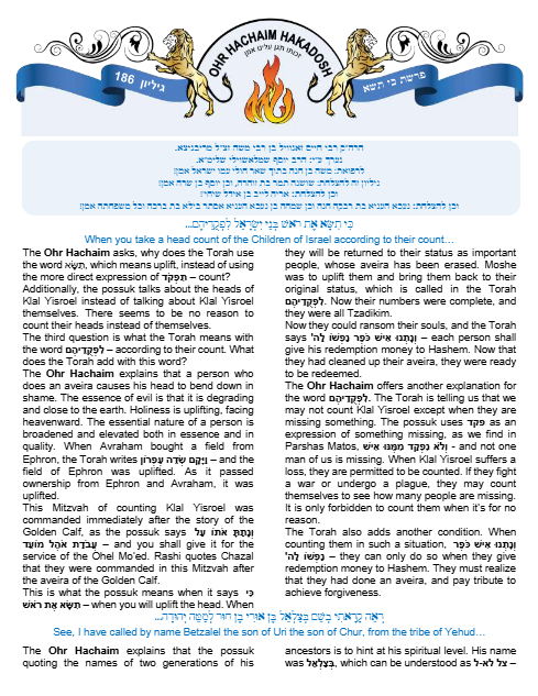 PDF Preview