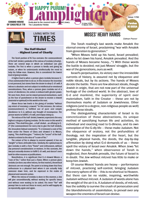 PDF Preview