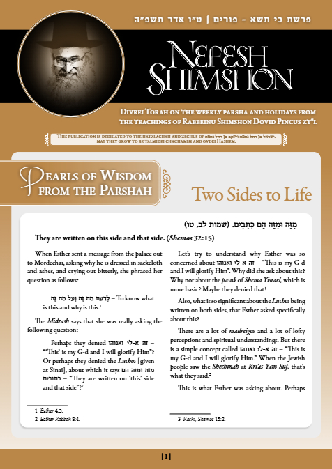 Nefesh Shimshon — Parshas Ki Sisa