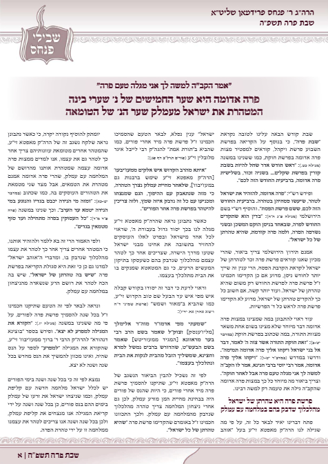 Zichron Avinoam — Parshas Vayak'hel