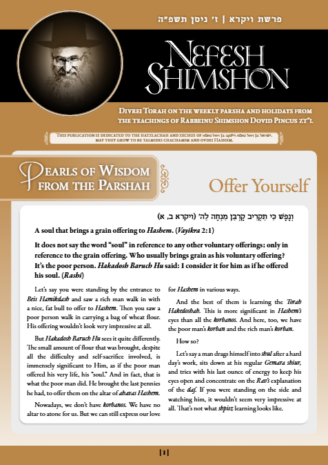 PDF Preview