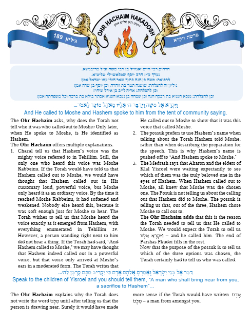 PDF Preview