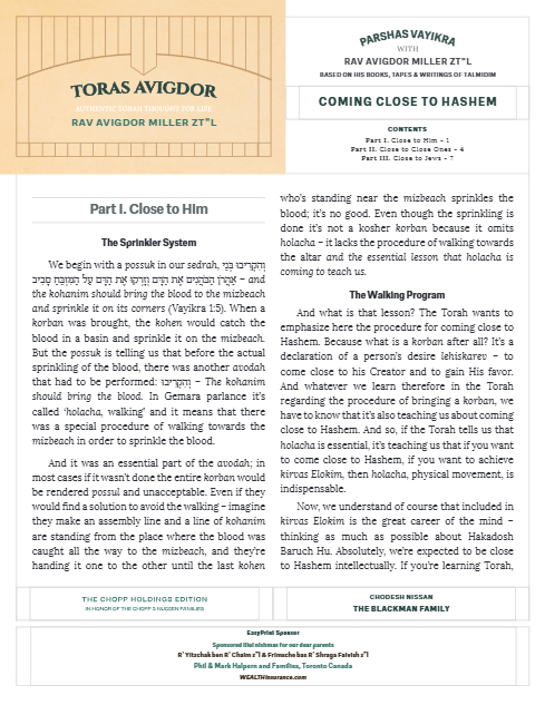 PDF Preview