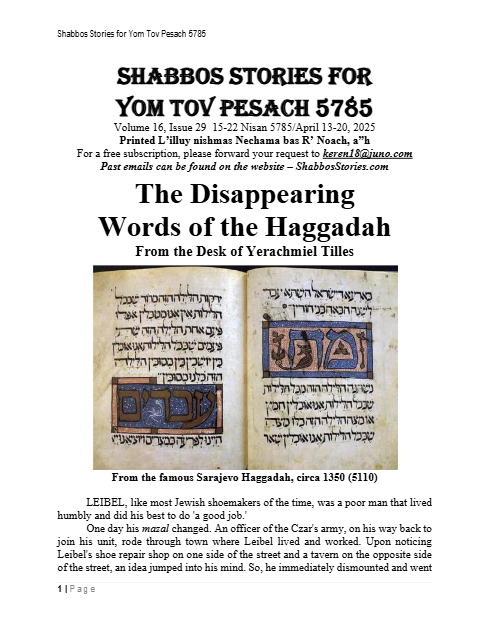 PDF Preview