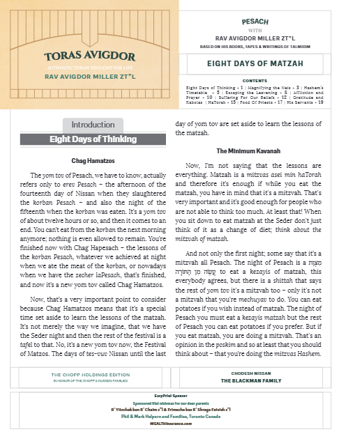 PDF Preview