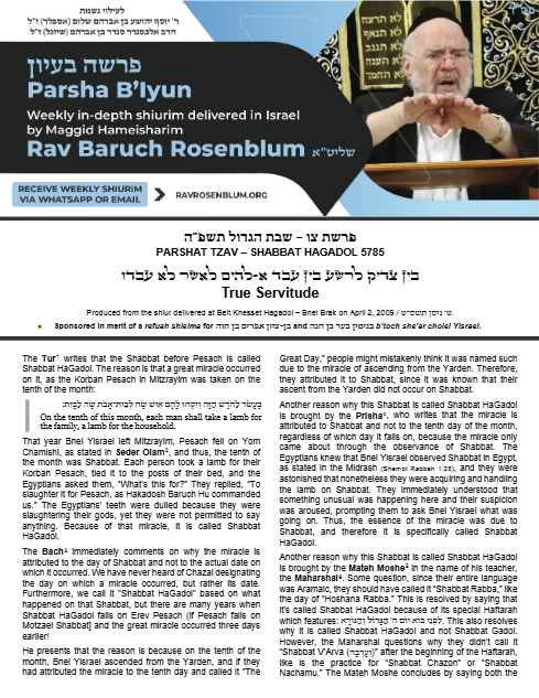 Torah Papers — Parshas Tsav