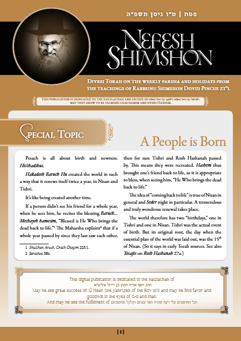 Nefesh Shimshon — Parshas Tsav