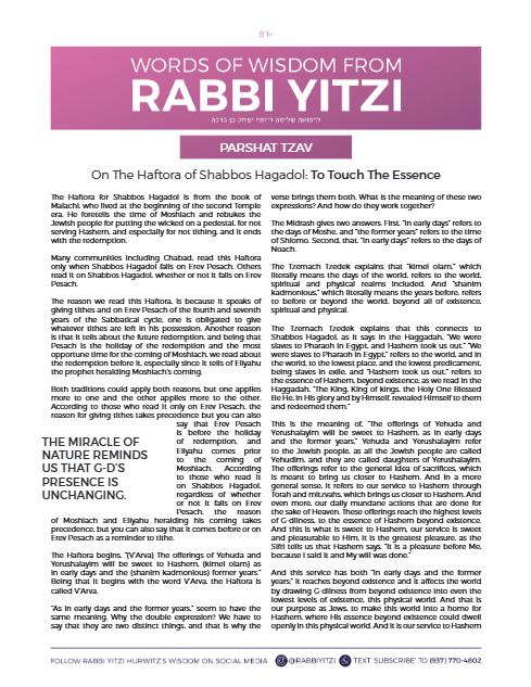 Words of Wisdom from Rabbi Yitzi — Parshas Tsav