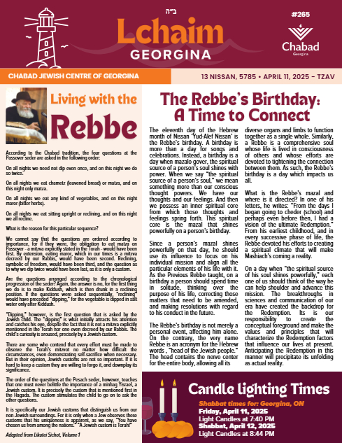 PDF Preview