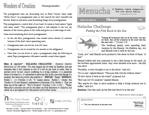 Menucha Magazine — Parshas Shemini