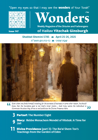 Wonders — Parshas Shemini