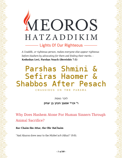 Me'oros Hatzaddikim — Parshas Shemini