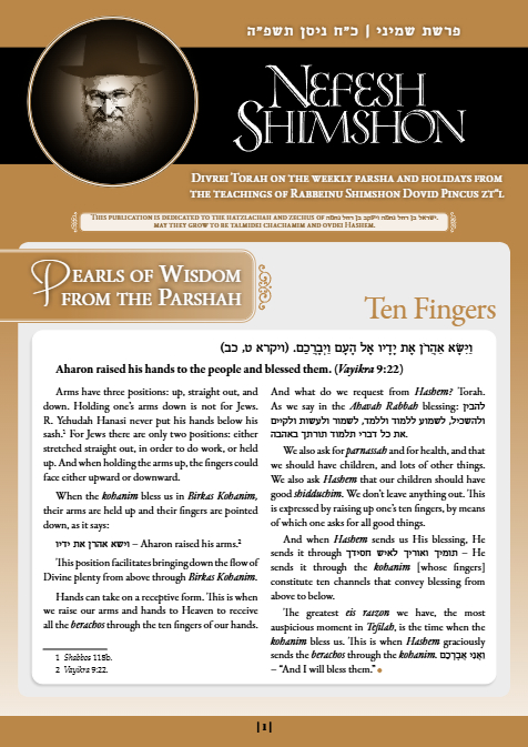 Nefesh Shimshon — Parshas Shemini