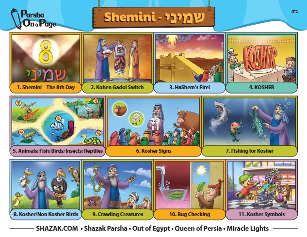 Parsha On a Page — Parshas Shemini