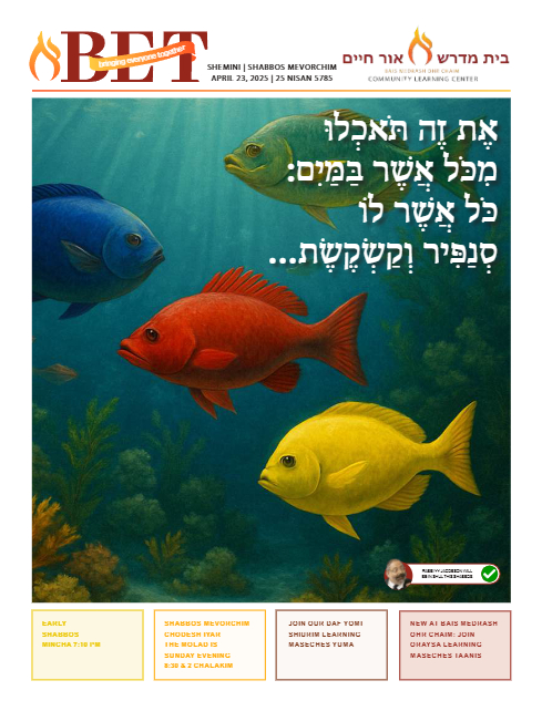 BET Journal — Parshas Shemini