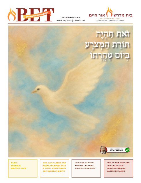 BET Journal — Parshas Tazria-Metzora