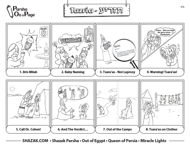 Parsha On a Page — Parshas Tazria-Metzora