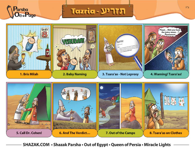 Parsha On a Page — Parshas Tazria-Metzora