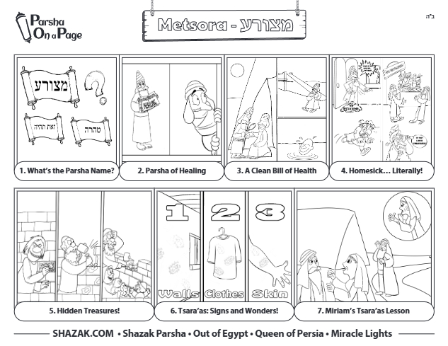 Parsha On a Page — Parshas Tazria-Metzora