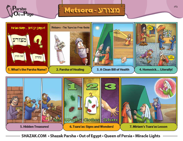 Parsha On a Page — Parshas Tazria-Metzora