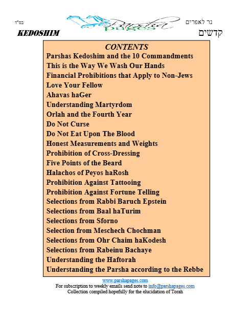 PDF Preview