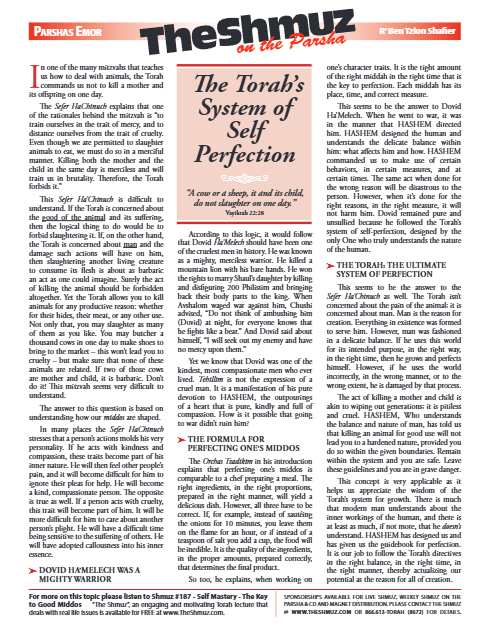 The Shmuz — Parshas Emor
