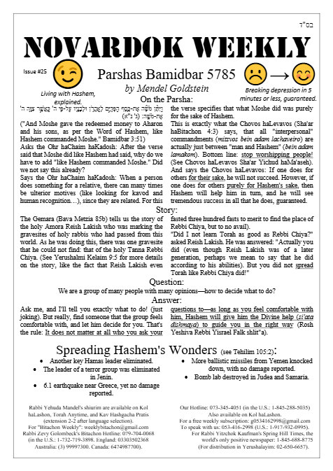 PDF Preview