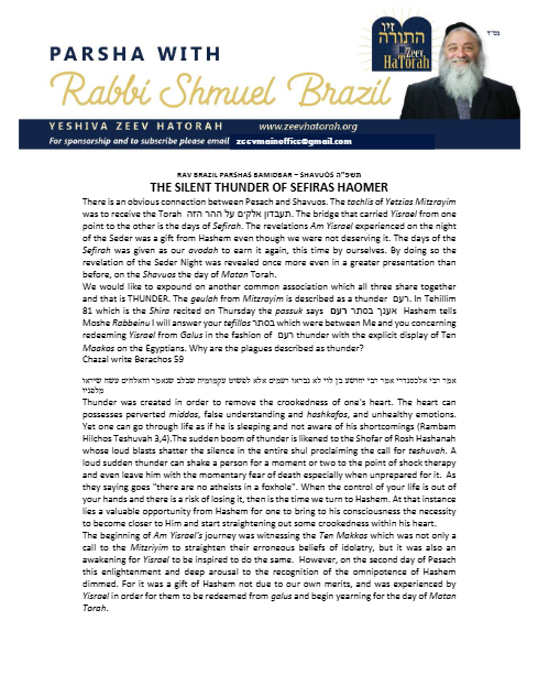 Parsha with Rabbi Shmuel Brazil — Parshas Bamidbar