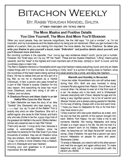 Bitachon Weekly — Parshas Bamidbar