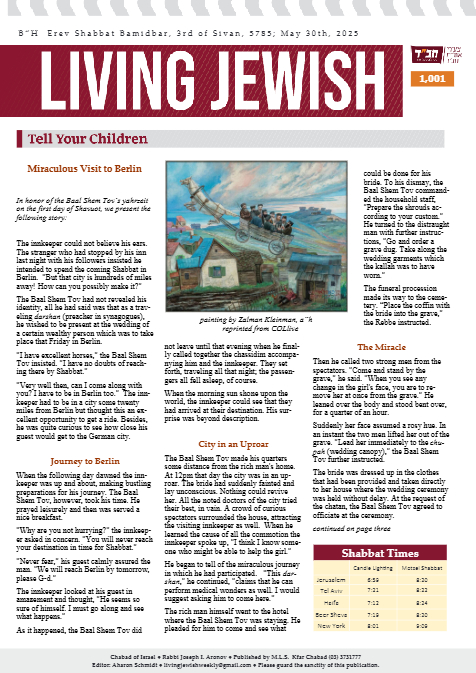 PDF Preview