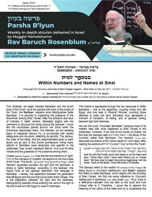Torah Papers — Parshas Bamidbar