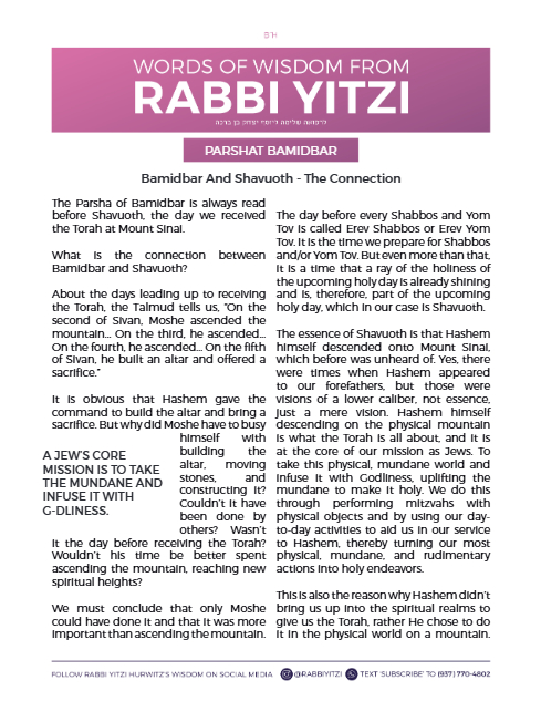 Words of Wisdom from Rabbi Yitzi — Parshas Bamidbar