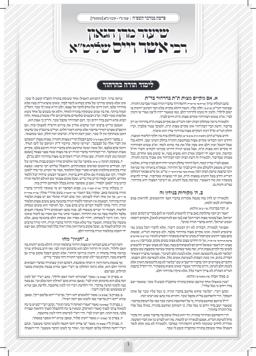 Torah Papers — Parshas Bamidbar