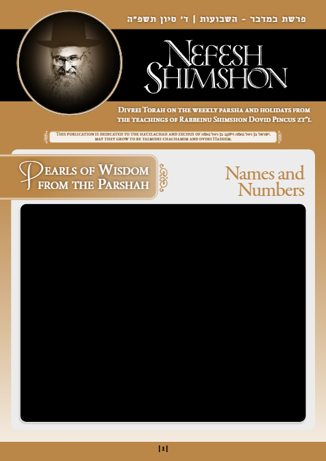 Nefesh Shimshon — Parshas Bamidbar