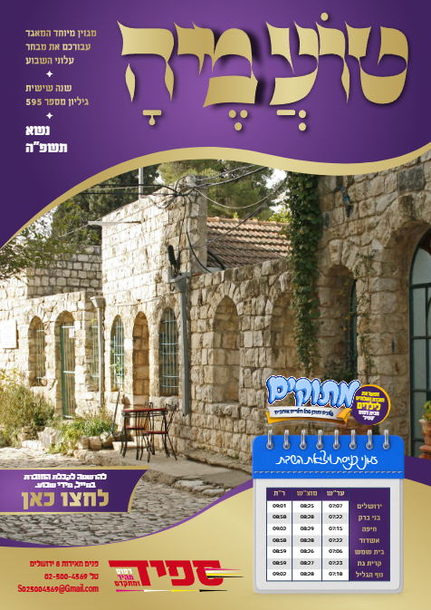 טועמיה — Parshas Naso