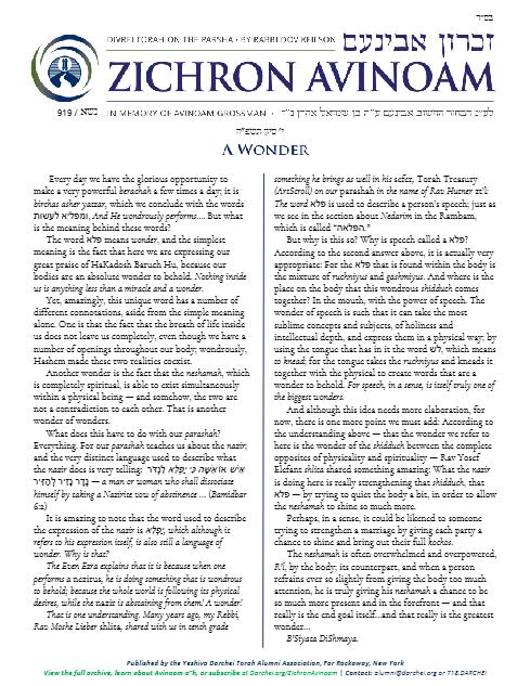 Zichron Avinoam — Parshas Naso