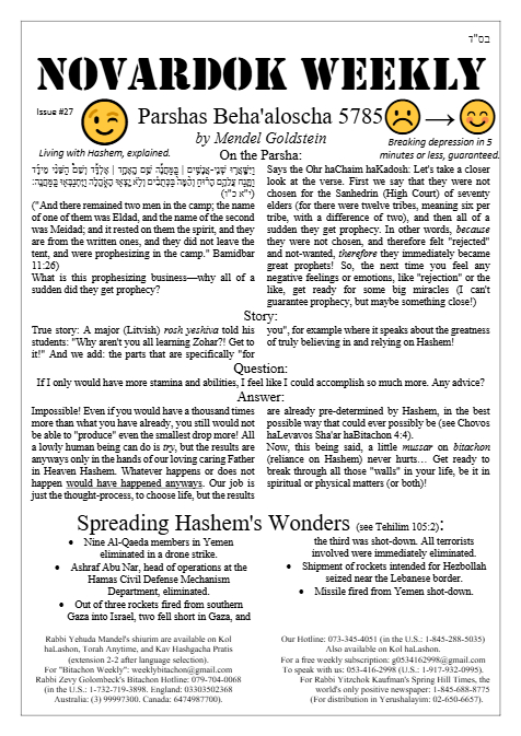 PDF Preview