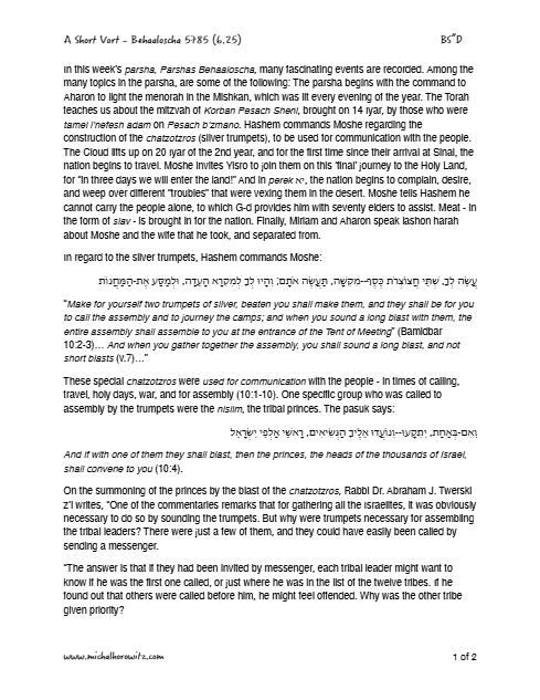 Michal Horowitz - Shiurim & Classes — Parshas Behaalotcha
