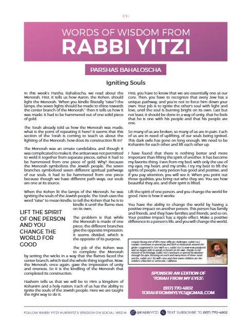 Words of Wisdom from Rabbi Yitzi — Parshas Behaalotcha