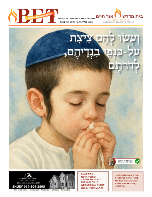 BET Journal — Parshas Shlach