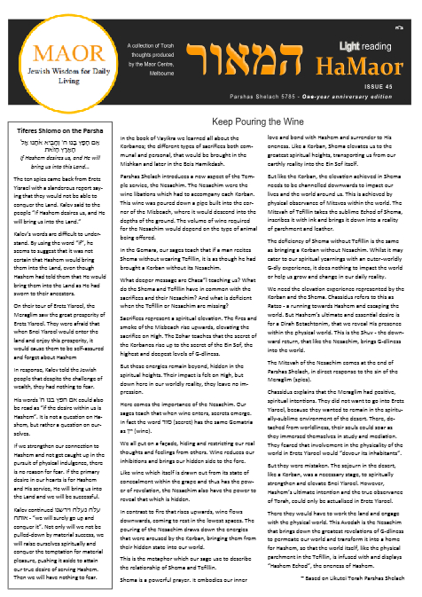 PDF Preview